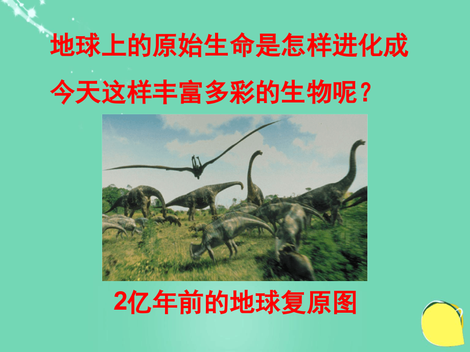 济南版八年级生物上册第五单元第一章第三节生物进化的历程课件_第1页