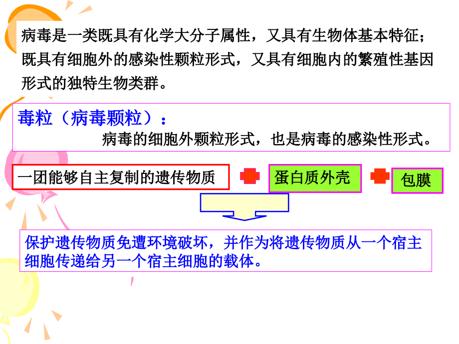 第二节---毒粒的性质课件_第1页