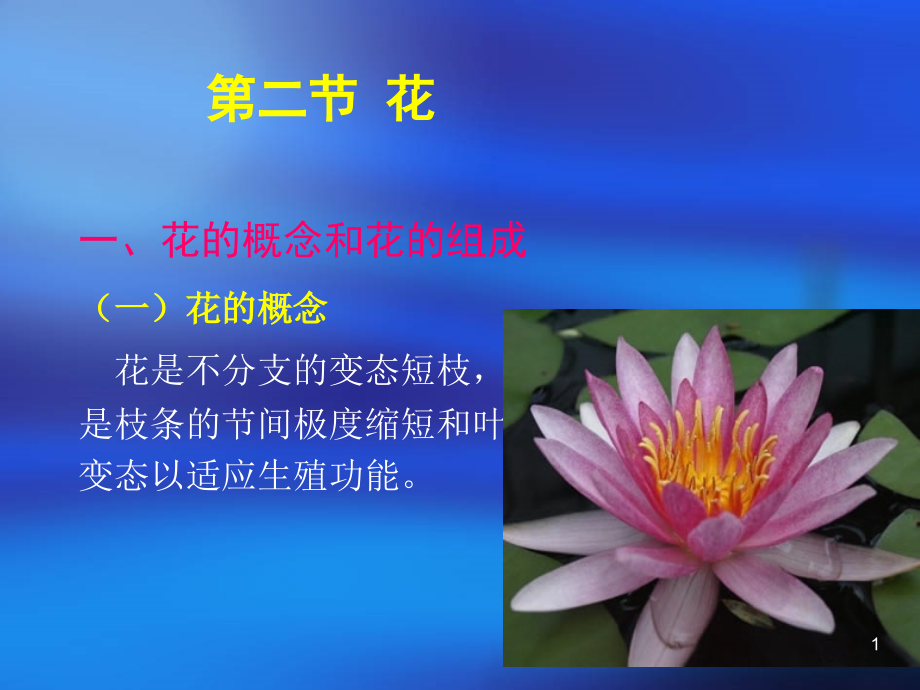 花的概念和花的组成课件_第1页