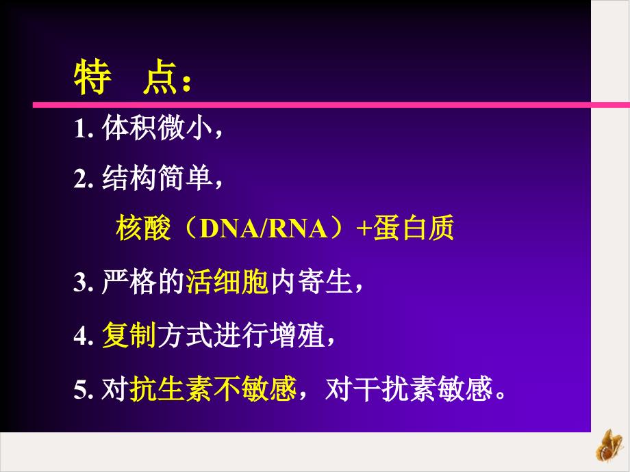 病毒的基本性状护理课件_第1页