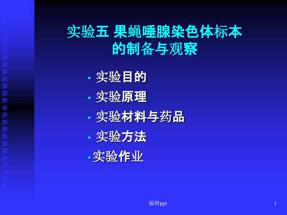 果蝇唾腺染色体的观察课件_第1页