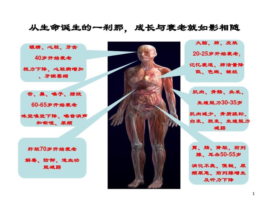 中医预防与养生保健科普知识讲座ppt课件_第1页