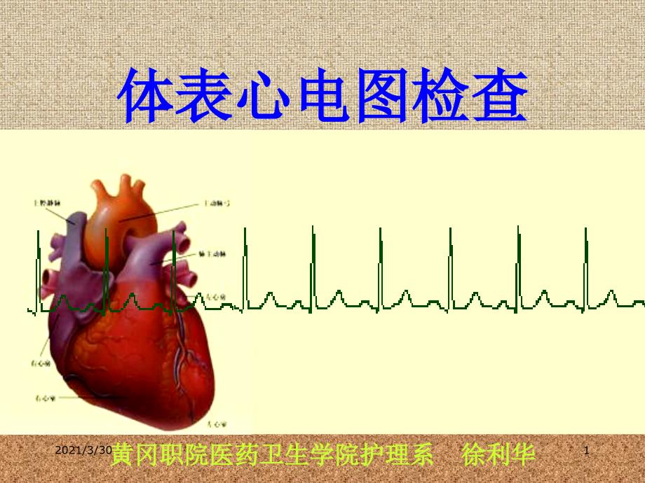 心电图入门知识学习课件_第1页