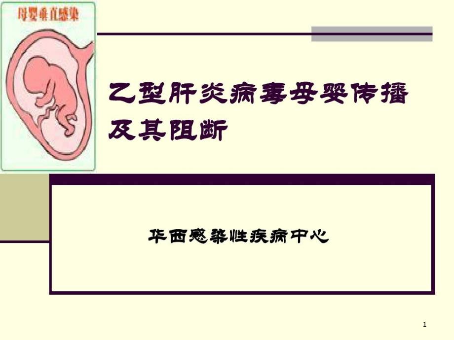 乙型肝炎病毒母婴传播及其阻断课件_第1页