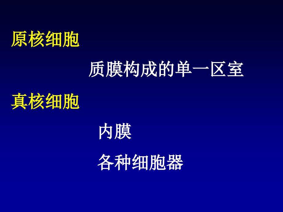 内膜系统ppt课件_第1页