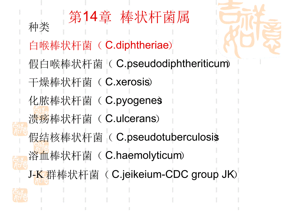 14章棒状杆菌检验课件_第1页