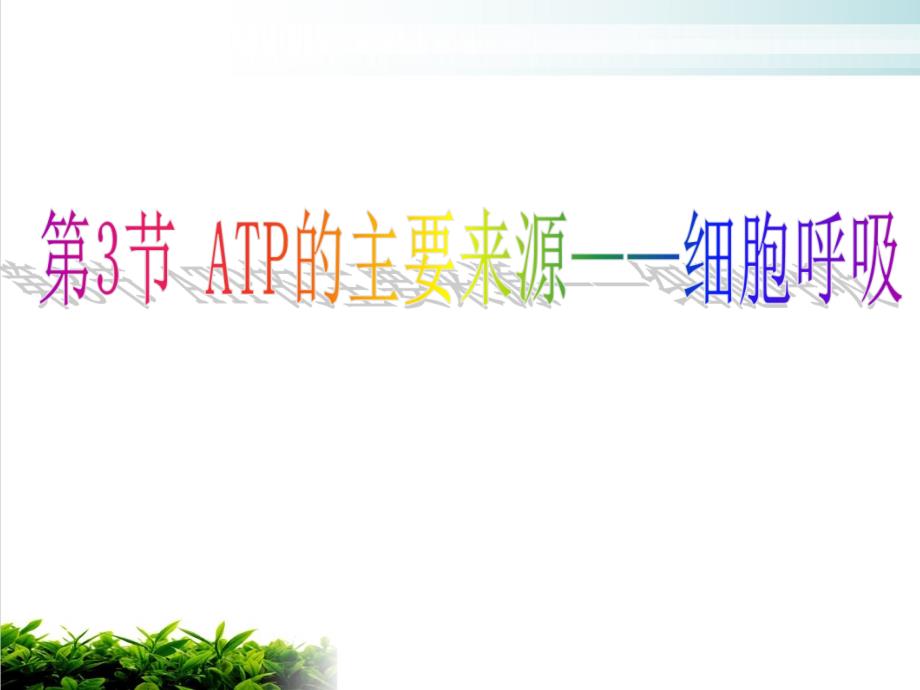 ATP的主要来源——细胞呼吸课件_第1页