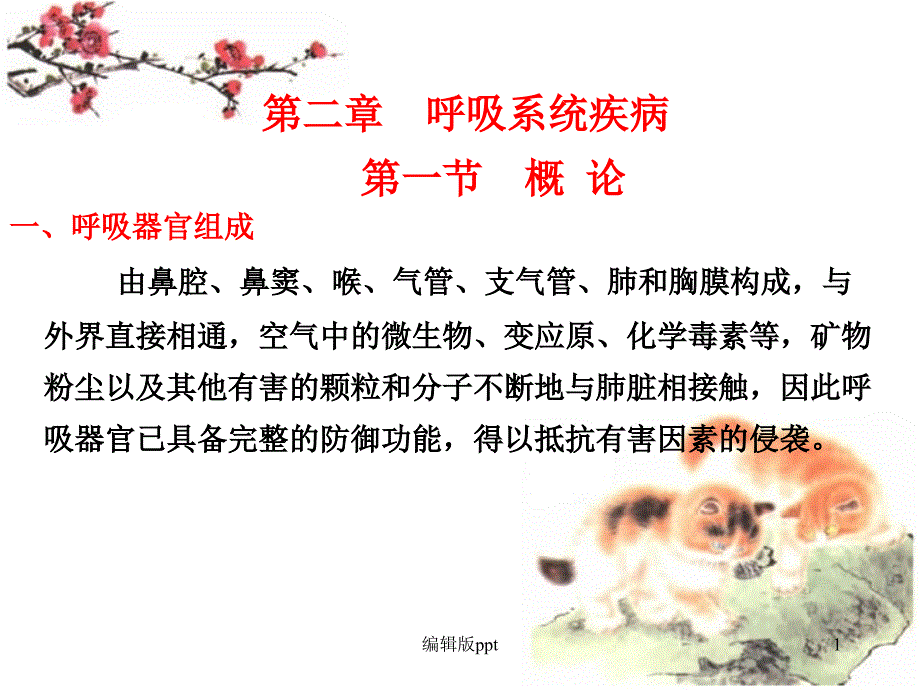 呼吸系统疾病的概述课件_第1页