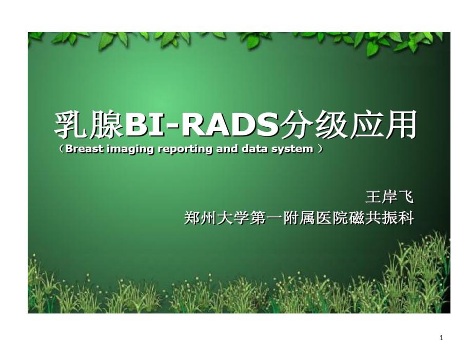 乳腺BIRADS分级的应用课件_第1页