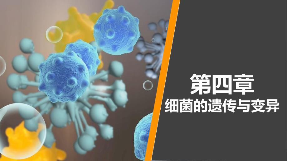 病原生物学与免疫学 第四章课件_第1页