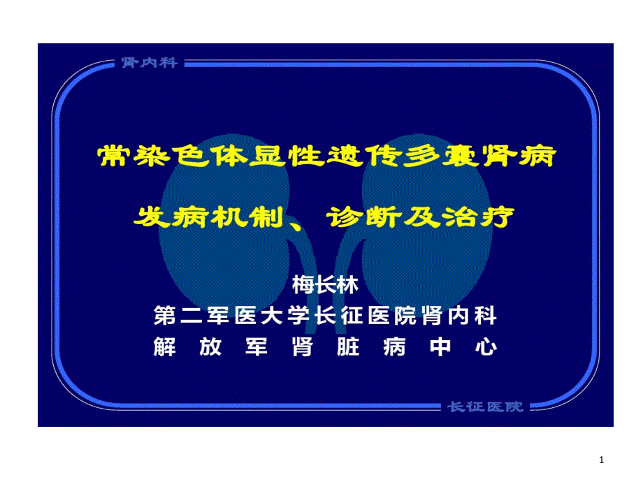 常染色体显性遗传多囊肾病发病机制诊断及治疗课件_第1页