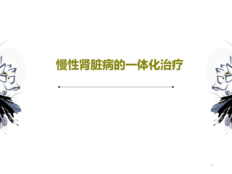 慢性肾脏病的一体化治疗课件_第1页