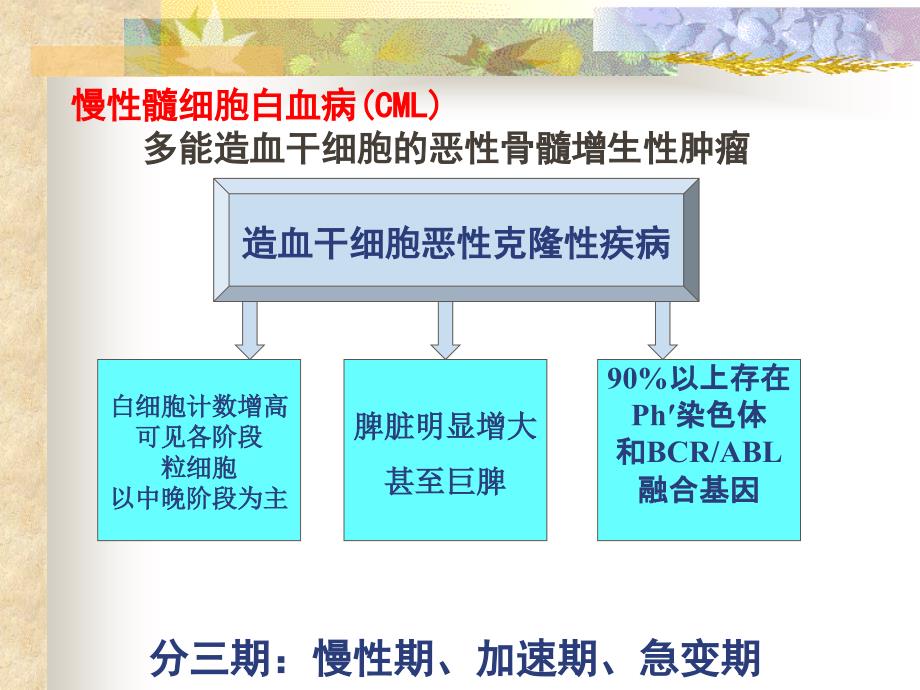 慢性粒细胞白血病课件_第1页