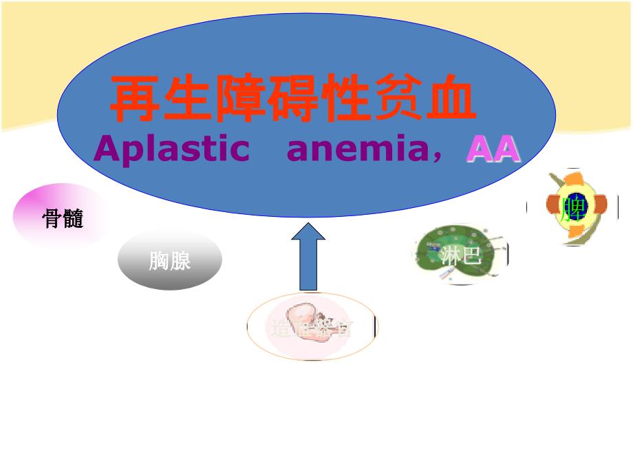 再生障碍性贫血 ppt课件_第1页