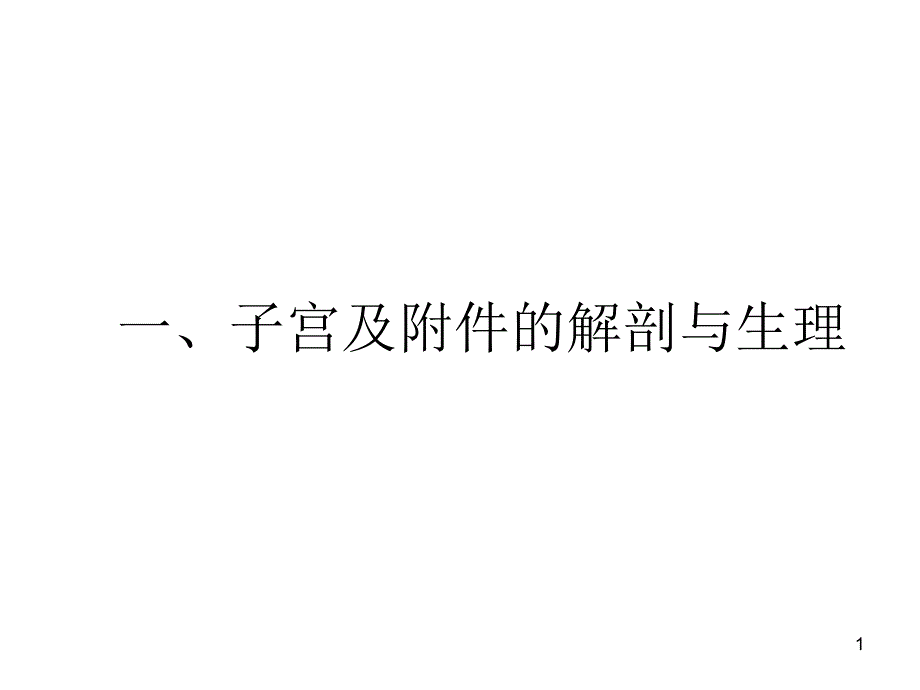 子宫及附件解剖及生理课件_第1页