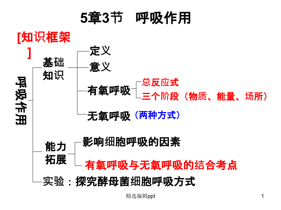 一轮复习完整——呼吸作用课件_第1页