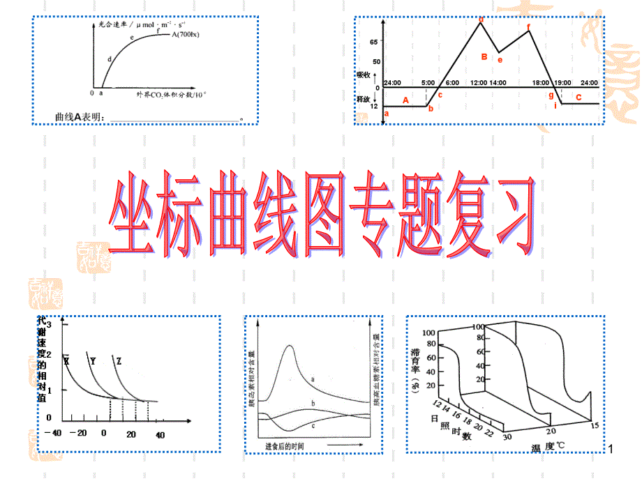 光合作用呼吸作用综合计算课件_第1页