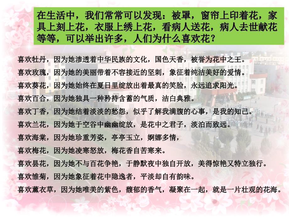 在生活中我们常常可以发现被罩窗帘上印着花家课件_第1页