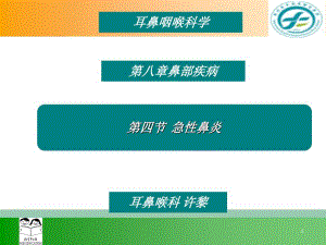 中西醫(yī)結(jié)合耳鼻喉鼻炎課件