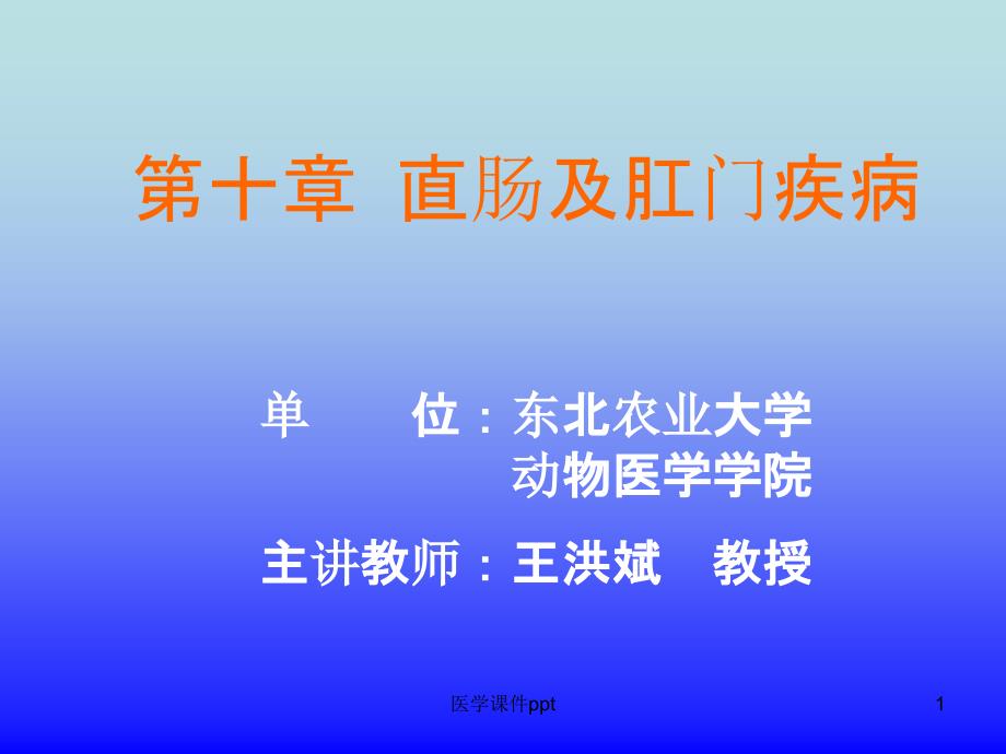 《直肠及肛门疾病》课件_第1页