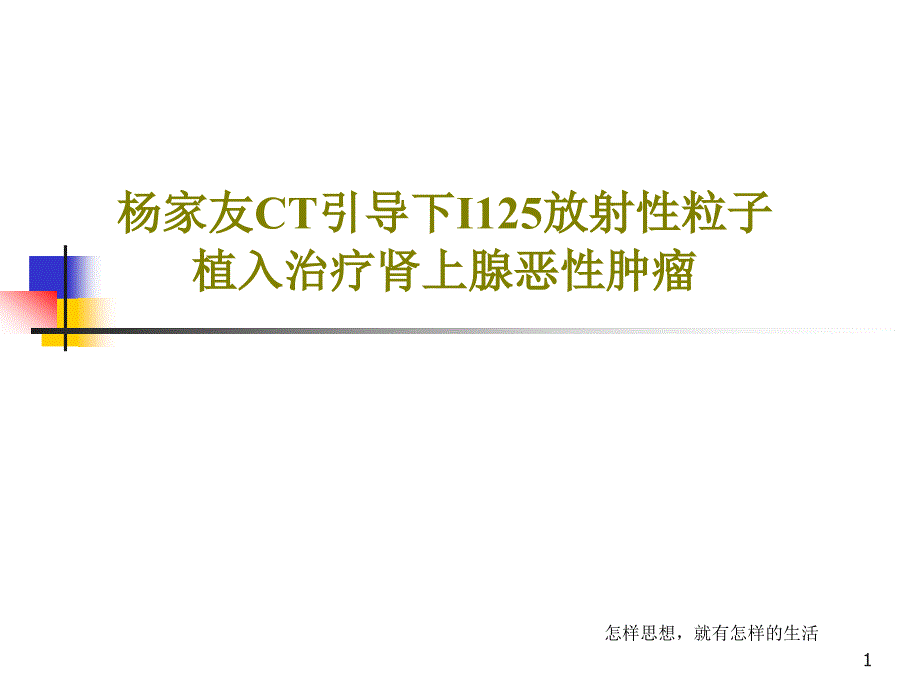 CT引导下I125放射性粒子植入治疗肾上腺恶性肿瘤课件_第1页