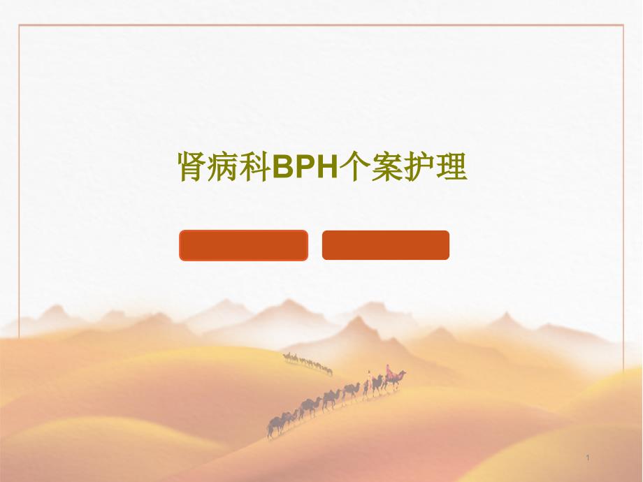 肾病科BPH个案护理课件_第1页