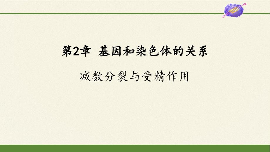 高中生物必修2 第2章基因和染色体的关系ppt课件_第1页