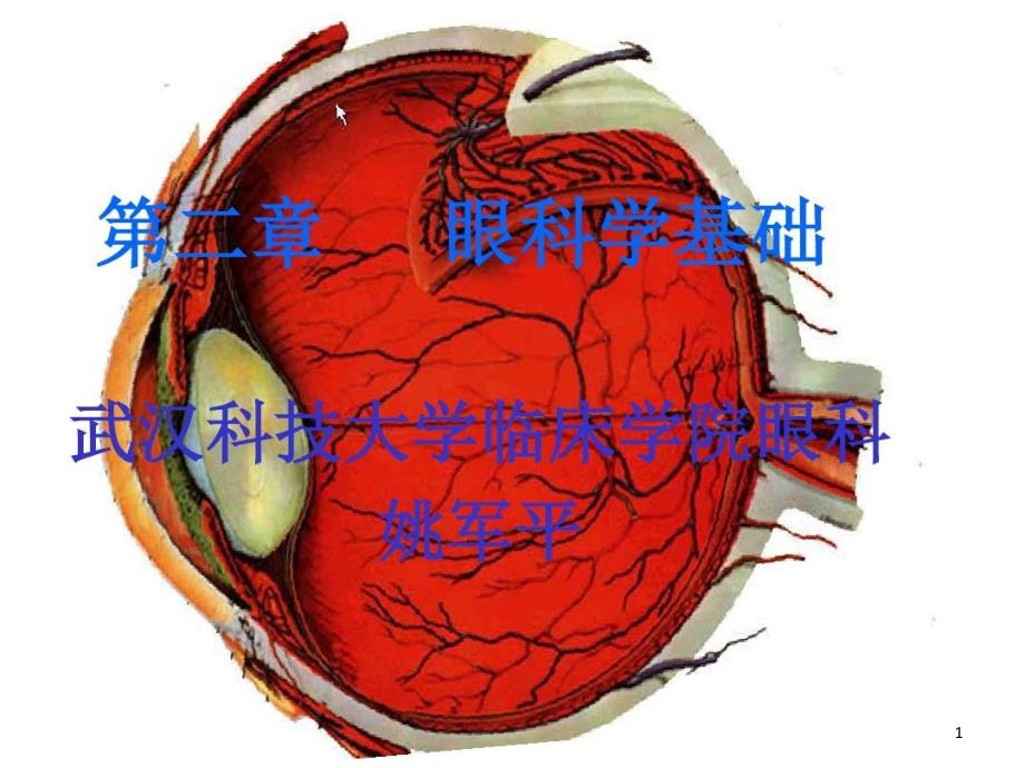 眼科学基础本科课件_第1页