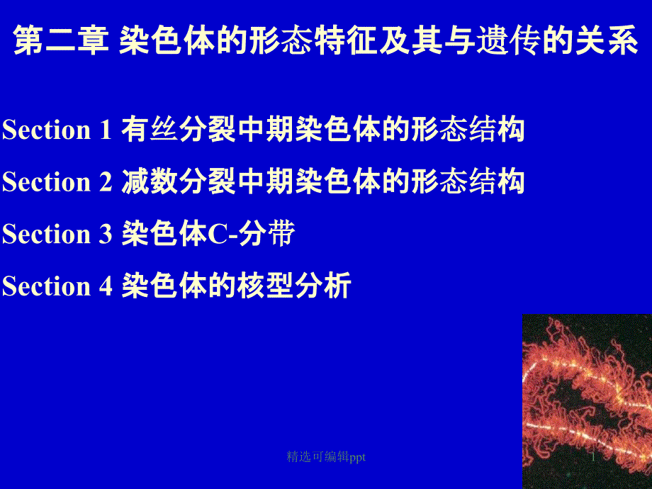 第一章染色体的形态结构课件_第1页