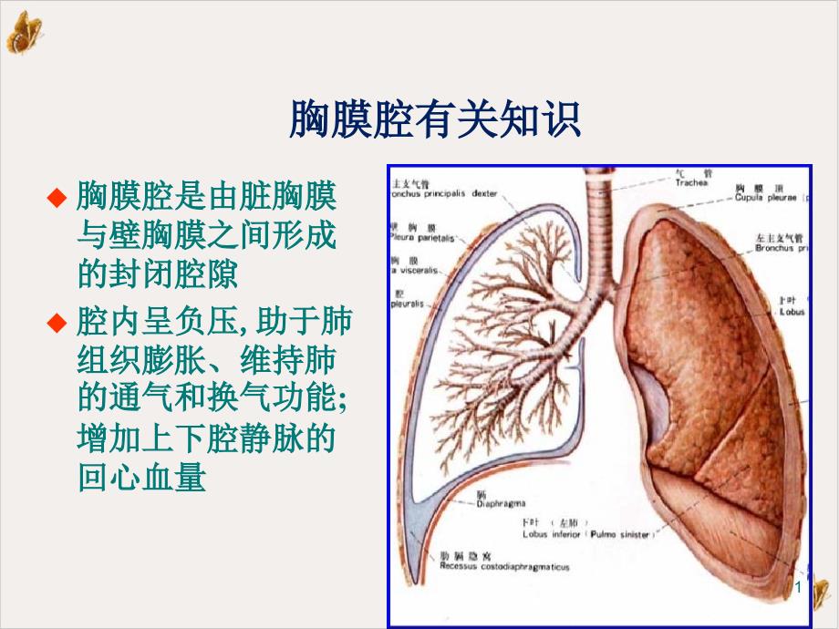 闭式胸腔引流实用ppt课件_第1页