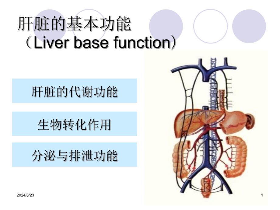 肝脏功能检查课件_第1页