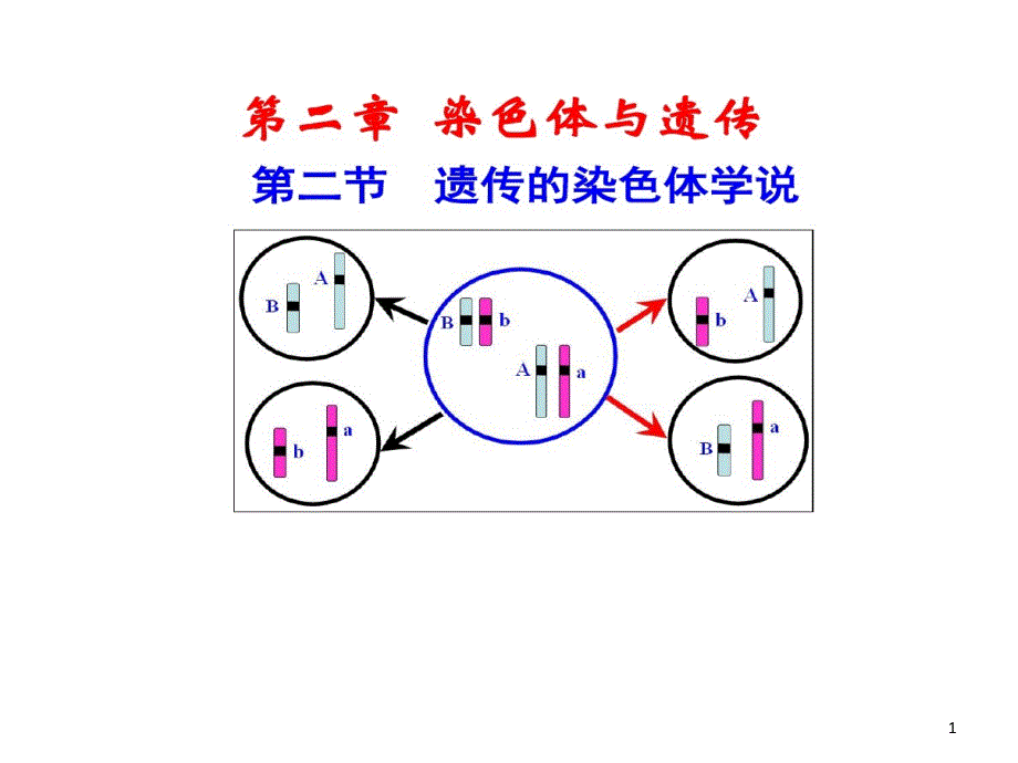 遗传染色体学说课件_第1页