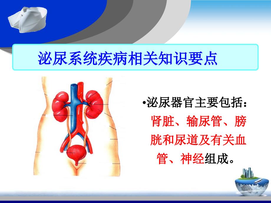 泌尿系统疾病常见症状及护理课件_第1页