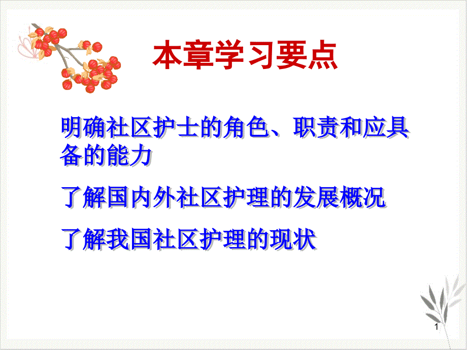 社区护理概论社区护士社区护理的发展课件_第1页