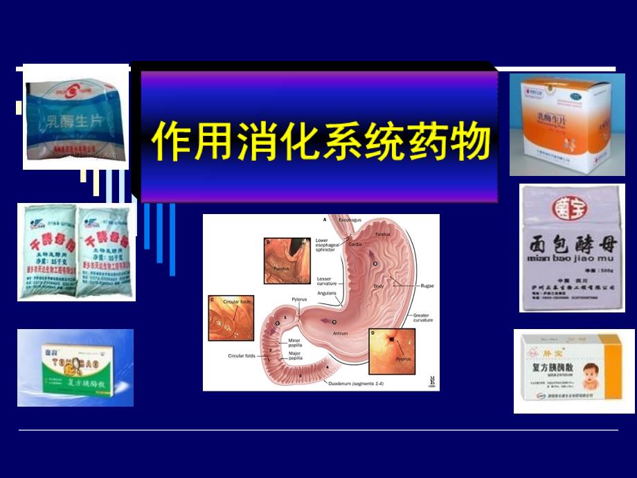 药理学 第26章消化系统药物课件_第1页