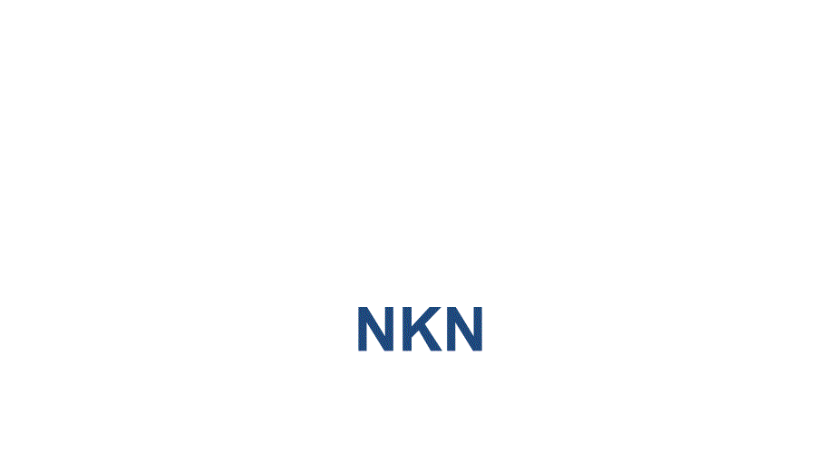 数字资产（NKN）NewKindofNetworkZH详细介绍课件_第1页