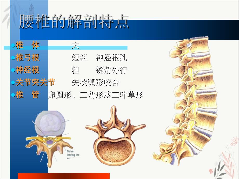 颈椎病及下腰痛课件(模板)_第1页