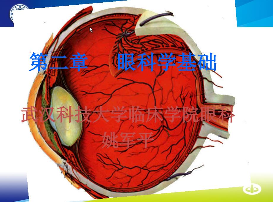 眼科学基础(本科)课件_第1页