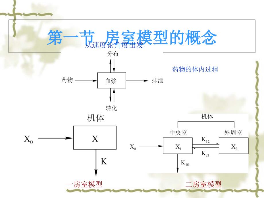 经典房室模型理论课件_第1页