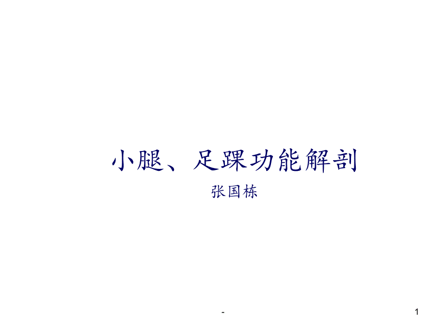 足踝部解剖讲课课件_第1页