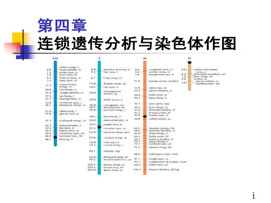 连锁遗传分析与染色体作图 ppt课件_第1页