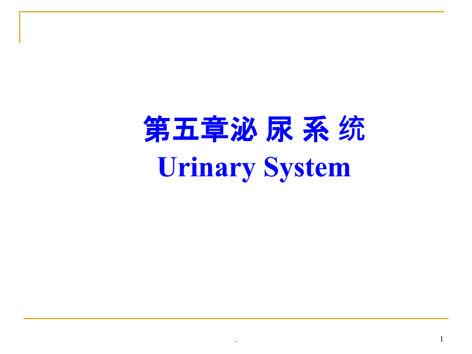 系统解剖学之泌尿系统课件_第1页