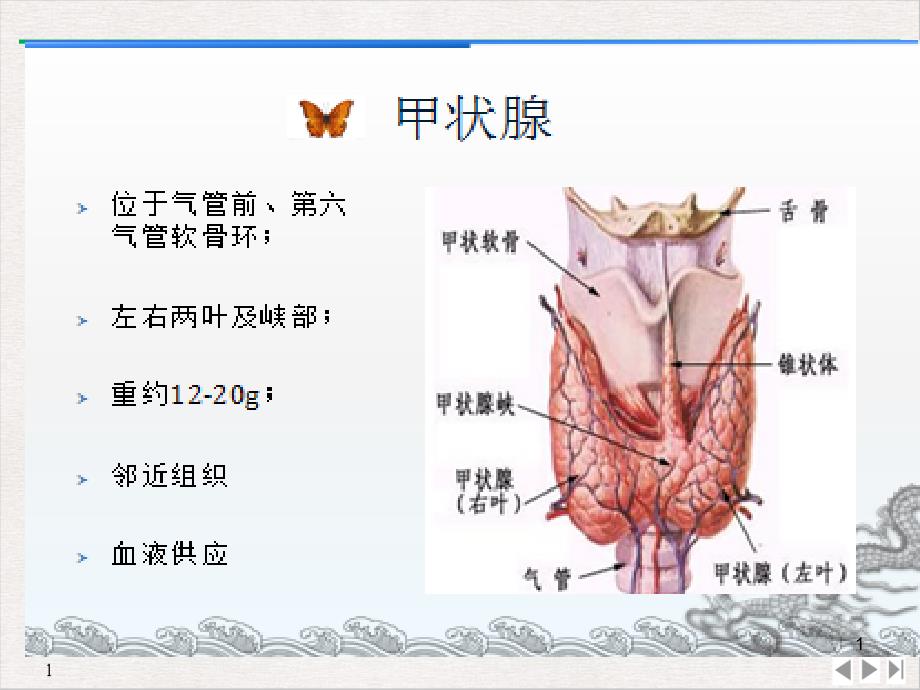 甲亢药物治疗课件_第1页