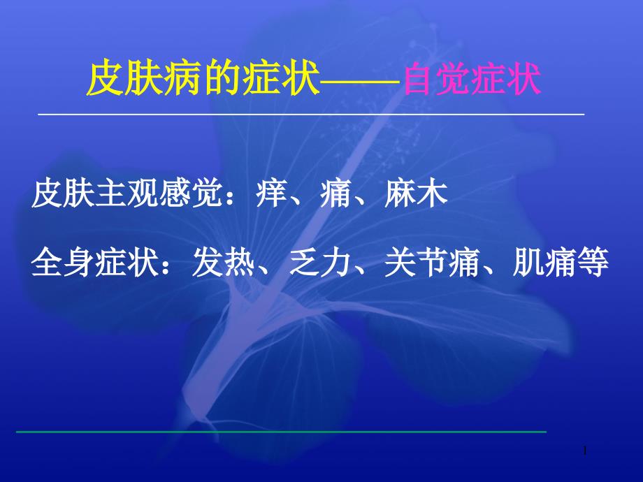 皮肤病的临床表现与诊断课件_第1页