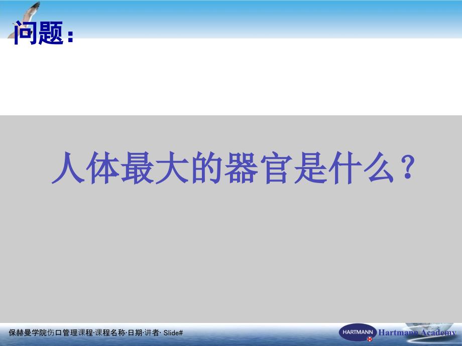 皮肤的解剖结构和生理病理课件_第1页