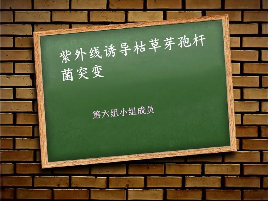 紫外线对枯草芽孢杆菌诱变课件_第1页