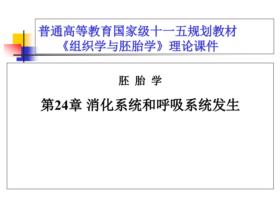 第24章消化系统与呼吸系统的发生课件_第1页