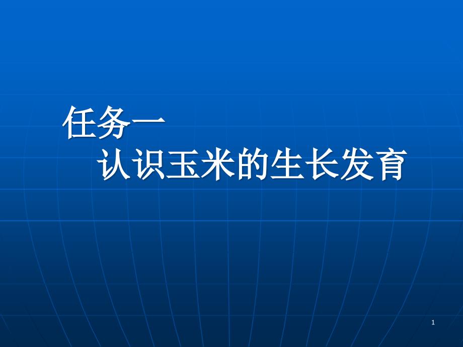 认识玉米的生长发育课件_第1页