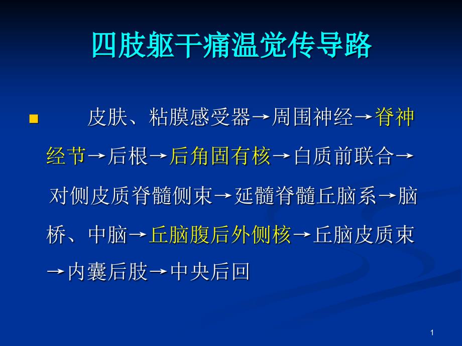 脑和脊髓的主要传导束医学ppt课件_第1页