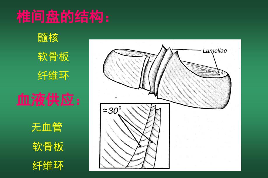 直腿抬高少脊髓造影单节段N根袖中断多节段硬膜囊压迫课件_第1页